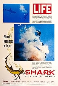 Primary photo for Shark Primary photo for Shark