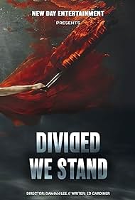 Divided We Stand