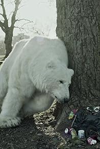 Primary photo for The Homeless Polar Bear