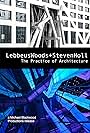 Lebbeus Woods + Steven Holl: The Practice of Architecture (2012)