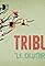 Tribu 6.5's primary photo