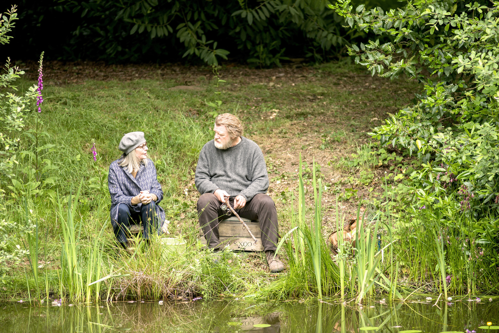 Diane Keaton and Brendan Gleeson in Hampstead (2017)