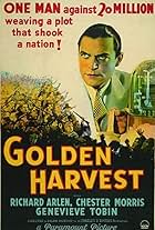 Golden Harvest