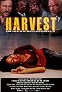 Harvest (2010)