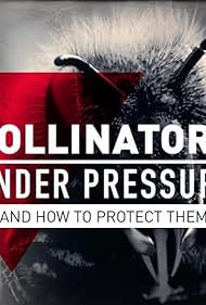 Pollinators Under Pressure (2018)