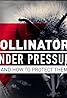 Pollinators Under Pressure (2018) Poster