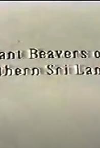 Primary photo for Giant Beavers of Southern Sri Lanka