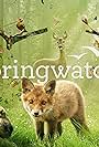 Springwatch (2005)