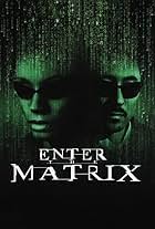 Enter the Matrix