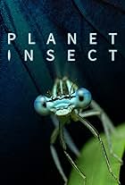 Planet Insect (2022)