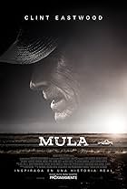 Mula