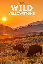 Wild Yellowstone (2015)