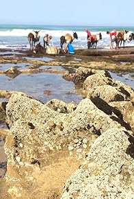 Primary photo for Razzia sur le sable