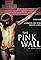 The Pink Wall's primary photo