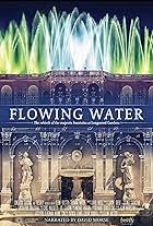 Flowing Water (2017)