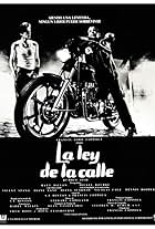 La ley de la calle