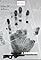 I, Sniper's primary photo