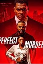 Perfect Murder