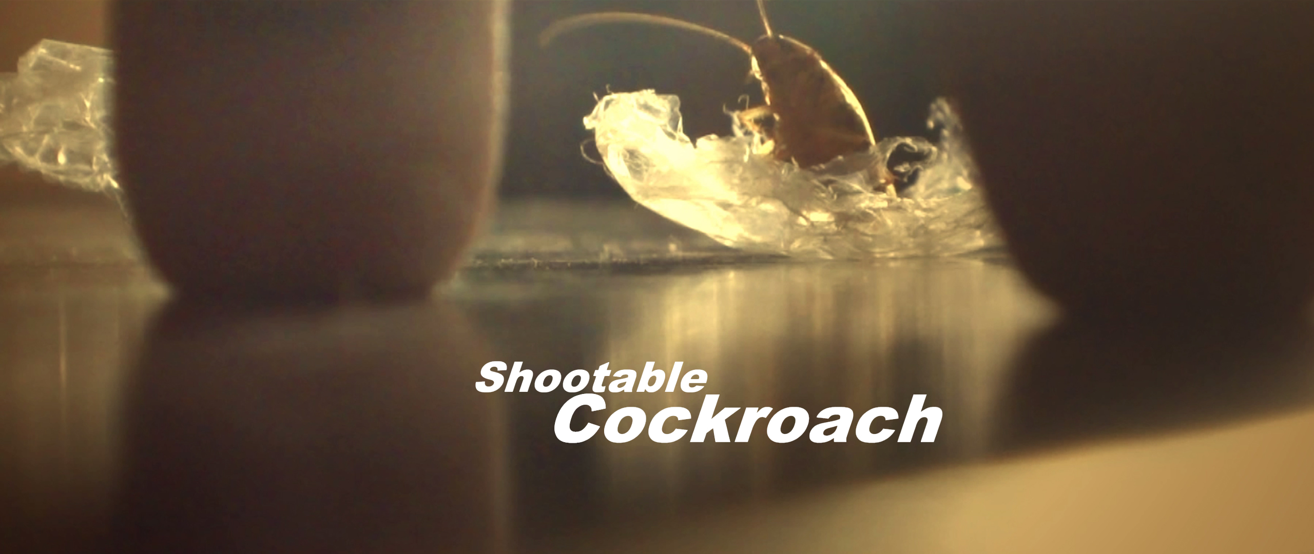 Shootable Cockroach (2017)