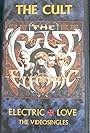 Electric Love: The Videosingles (1987)