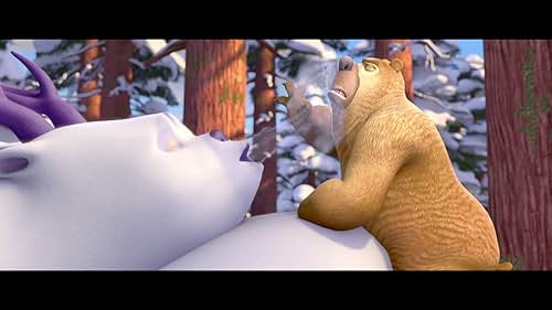 Bears and Winter