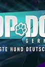 Top Dog Germany - Der beste Hund Deutschlands (2021)