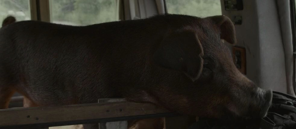 Sr. Pig (2016)