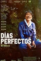 Días perfectos