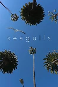 Primary photo for Seagulls Primary photo for Seagulls