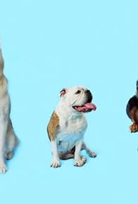 Primary photo for How Dogs Got Their Shapes