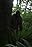 Dead Bigfoot: A True Story