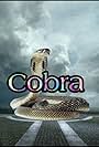 Cobra (1997)