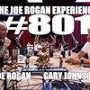 Joe Rogan and Gary Johnson in The Joe Rogan Experience (2009)