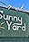 Sunny Yard