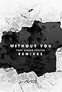 Avicii: Without You - Part 4 (Lyric Video) (2017)