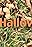 Hallow