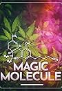 Magic Molecule (2018)