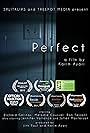 Perfect (2013)