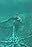 The Forgotten Mermaids/Jacques Cousteau/Then and Now