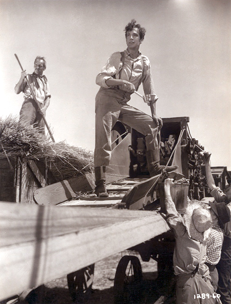 David Manners, Robert Parrish, Irving Pichel, and Dannie Mac Grant in The Right to Love (1930)