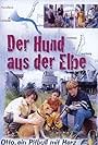 Der Hund aus der Elbe (1999)