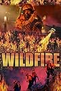 Wild Fire (2005)