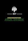 2nd Annual Angelwood Pictures' Angel Awards (2017)