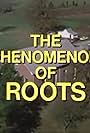 Roots: One Year Later (1978)