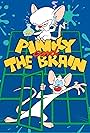 Pinky and the Brain (1995)