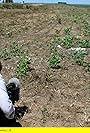 Der Pakt mit dem Panda - Was uns der WWF verschweigt (2011)