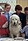 A Helping Hound's primary photo
