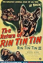 The Return of Rin Tin Tin