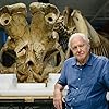 David Attenborough in Attenborough and the Giant Elephant (2017)