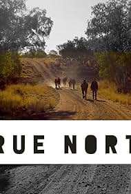 True North